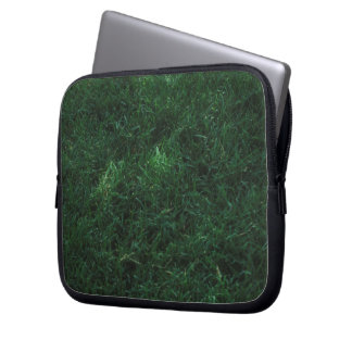 Bag of green