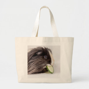 Bag with cute guinea pig eating cucumber