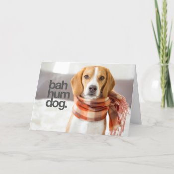 "bah Hum Dog" Beagle Holiday Card by Pets4VetsNYCLongIs at Zazzle