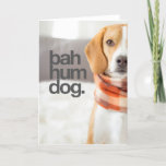 &quot;bah Hum Dog&quot; Beagle Holiday Card at Zazzle