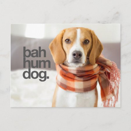 "bah Hum Dog" Beagle Postcard