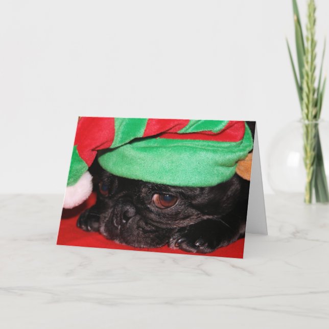 "Bah Hum Pug!" Holiday Greeting Card (Front)