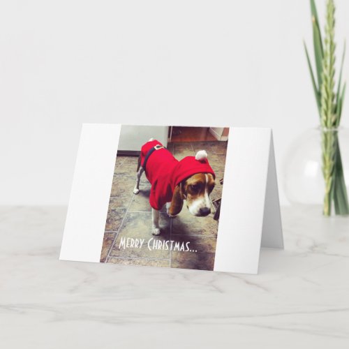 Bah Humbug Beagle Christmas Card