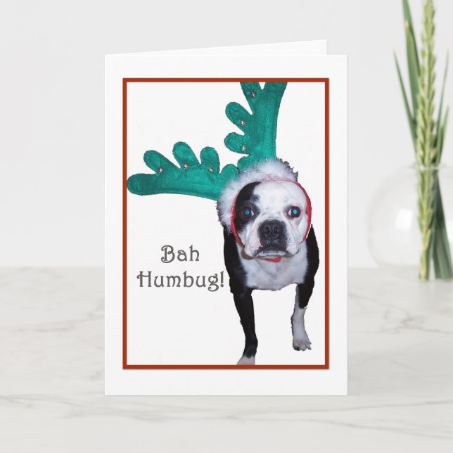 Bah Humbug! - Boston Terrier Holiday Card (Front)