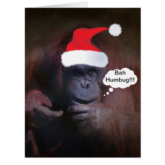 BAH HUMBUG!!! CHRISTMAS CARD (Front)
