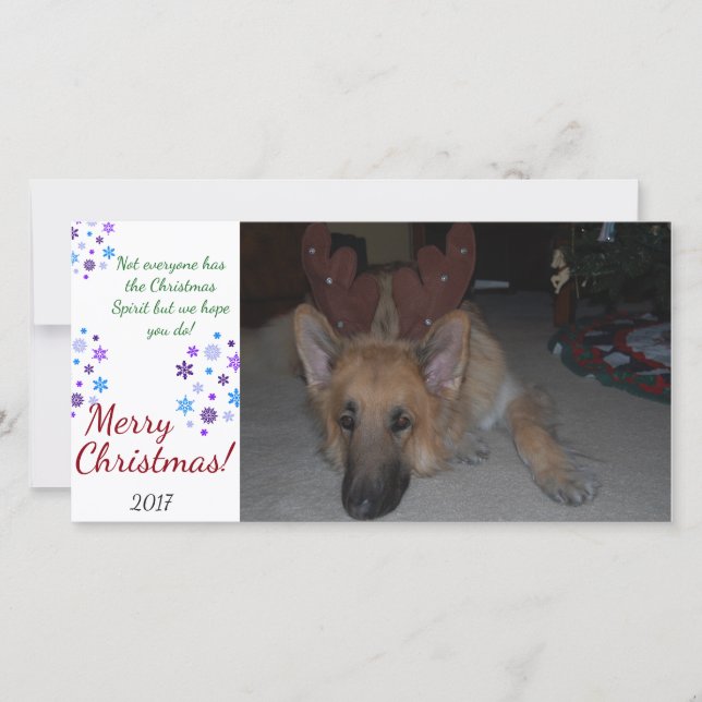 Bah Humbug Christmas Card German Shepherd funny (Front)