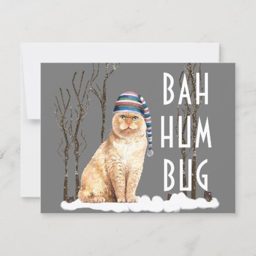 Bah Humbug Funny Cat Christmas Postcard