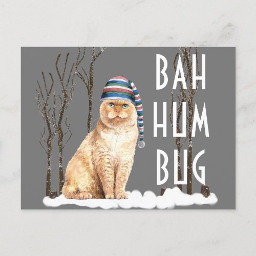 Bah Humbug Funny Cat Christmas Postcard