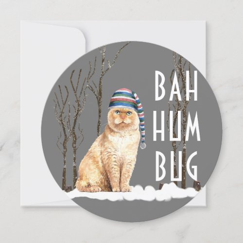 Bah Humbug Funny Cat Round Christmas Card
