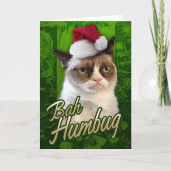 Bah Humbug Grumpy Cat Holiday Card by thegrumpycat at Zazzle