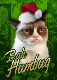 grumpy cat cards zazzle