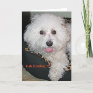 Bah Humbug!!! Holiday Card