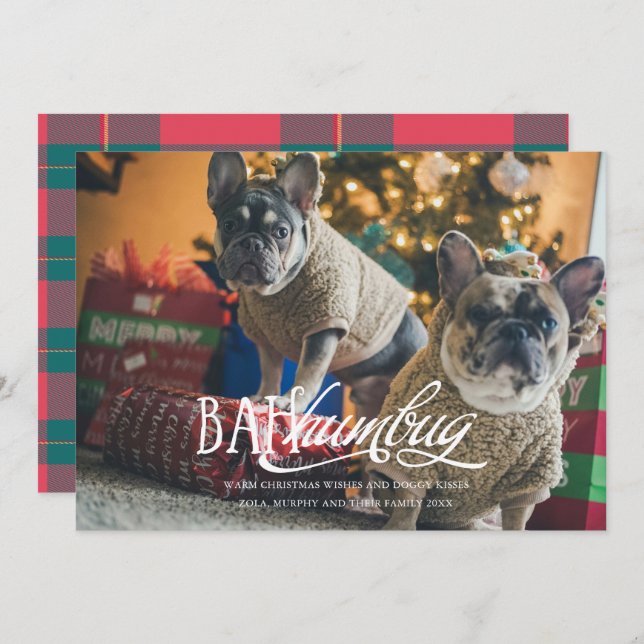 Bah Humbug Silly Pet Photo Holiday Card (Front/Back)