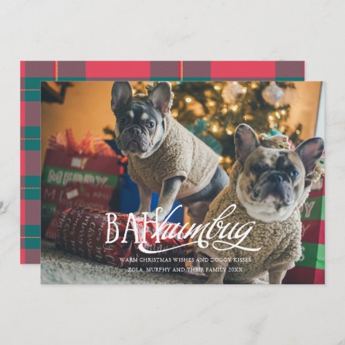 Bah Humbug Silly Pet Photo Holiday Card