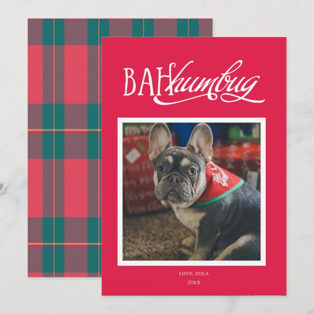 Bah Humbug Silly Pet Photo Holiday Card (Front/Back)