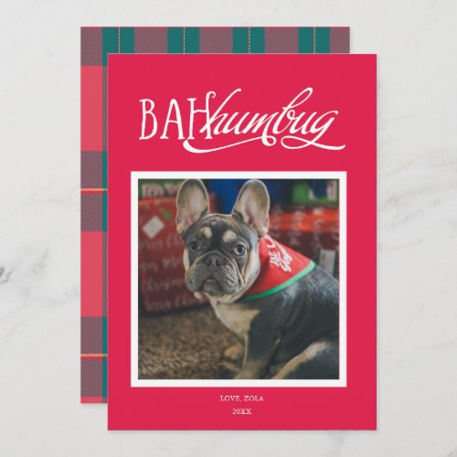 Bah Humbug Silly Pet Photo Holiday Card