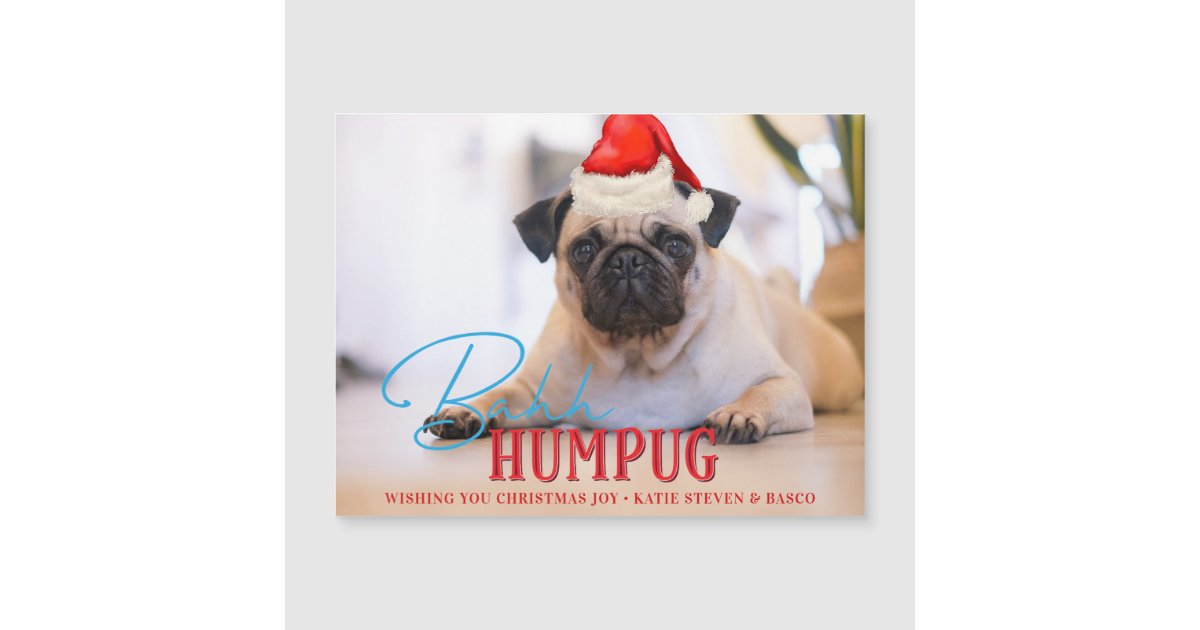 Bah Humpug Pug Dog Funny Custom Christmas Photo | Zazzle