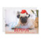 Bah Humpug Pug Dog Funny Custom Christmas Photo