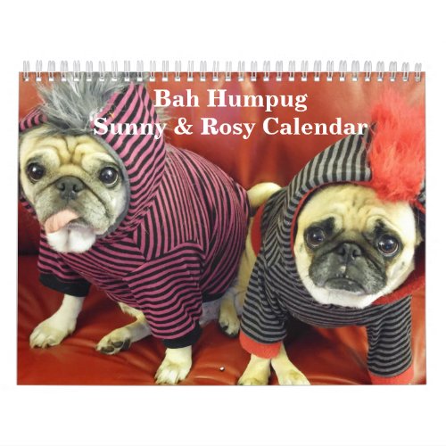 Bah Humpug Sunny  Rosy 2016 Calendar