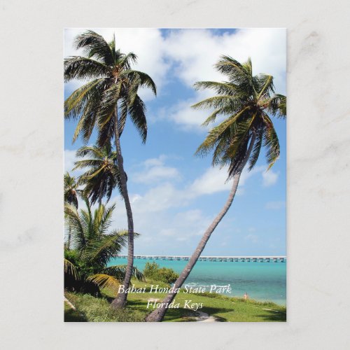 Bahai Honda State Park Florida Keys Postcard