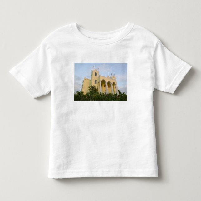 BAHAMAS, Abacos, Great Abaco Island, Marsh Toddler T-shirt (Front)