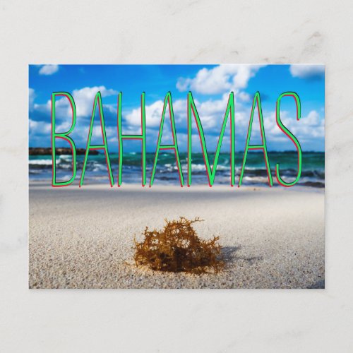 Bahamas Beach Close_Up Postcard