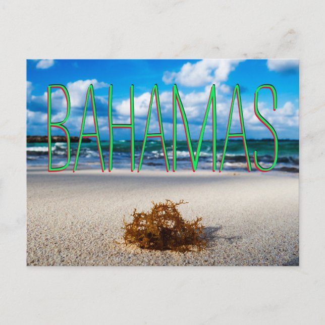 Bahamas Beach Close-Up Postcard (Front)