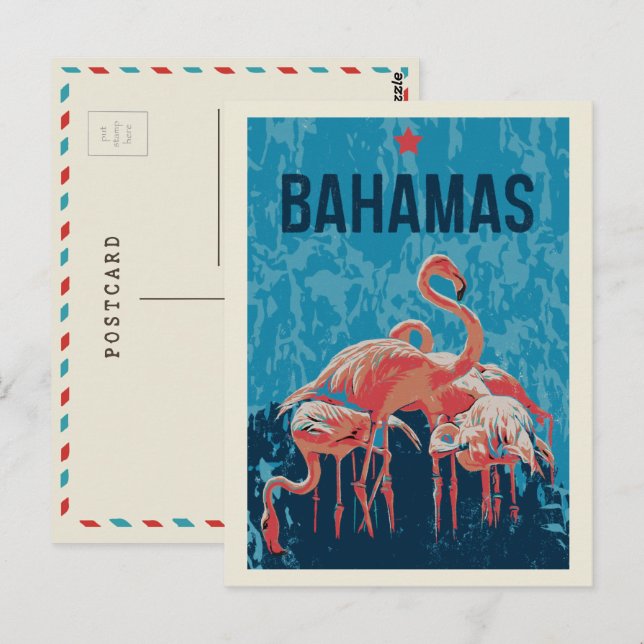 Bahamas Caribbean Pink Flamingos Postcard (Front/Back)