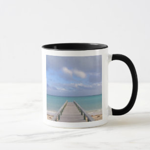 BAHAMAS, Grand Bahama Island, Eastern Side: Mug