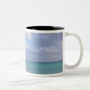 BAHAMAS, Grand Bahama Island, Eastern Side: Two-Tone Coffee Mug