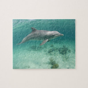 Bahamas, Grand Bahama Island, Freeport, Captive 6 Jigsaw Puzzle