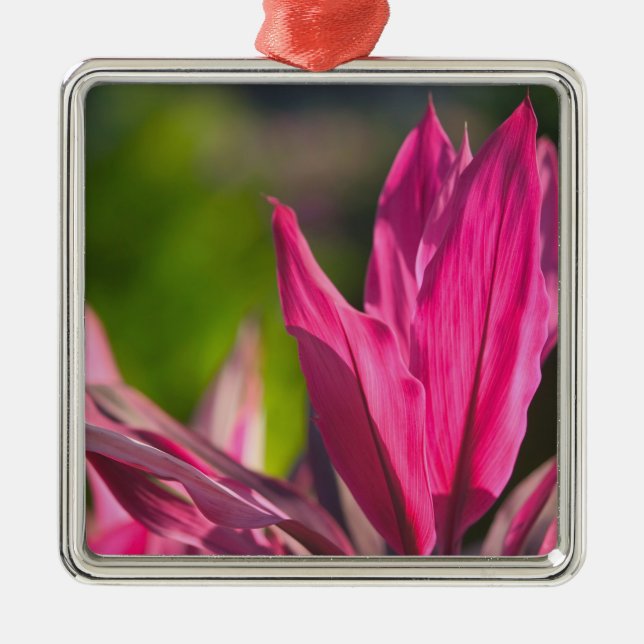 BAHAMAS, New Providence Island, Nassau: Paradise Metal Ornament (Front)