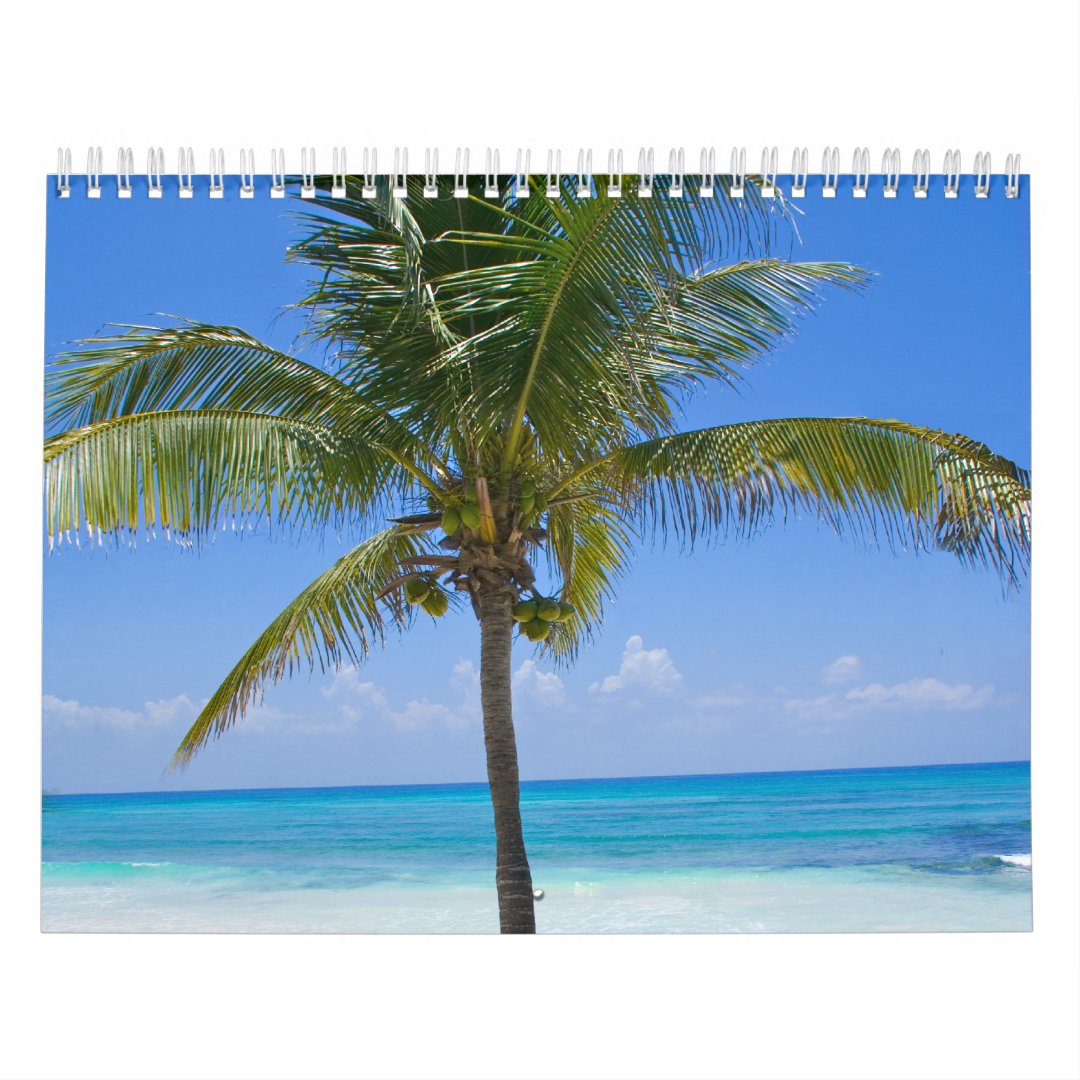 Bahamas Palm Tree Calendar Zazzle