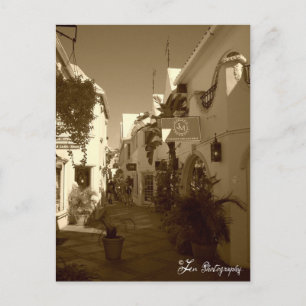 Bahamas Postcard
