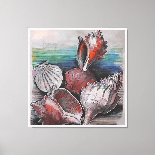Bahamas Seashell Symphony, No.002 Canvas Print (Front)