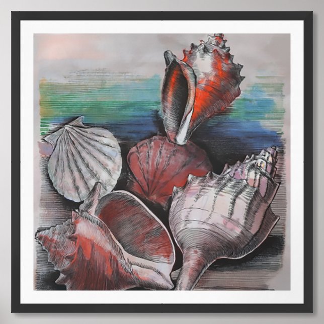 Bahamas Seashell Symphony, No.002 Framed Art (Framed Front)