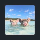 Bahamas Swimming Pig 2024 Metal Print<br><div class="desc">Bahamas Swimming Pig 2024</div>