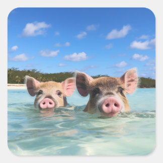Bahamas Swimming Pig 2024 Square Sticker