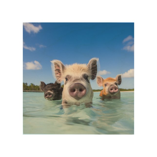 Bahamas Swimming Pig 2024 Wood Wall Art (Front)
