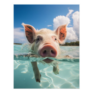 Bahamas Swimming Pig Photo Print