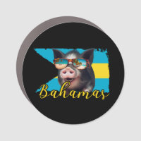 Bahamas Swimming Pigs - Exuma Pig Beach Adventure