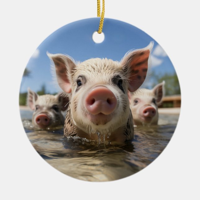 Bahamas Swimming Pigs - Exuma Pig Beach Adventure Ceramic Ornament (Front)