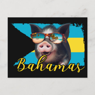 Bahamas Swimming Pigs - Exuma Pig Beach Adventure Postcard