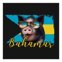 Bahamas Swimming Pigs - Exuma Pig Beach Adventure