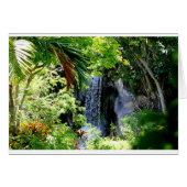 Bahamas Waterfall (Front Horizontal)