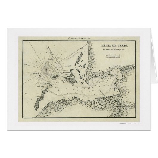 Bahia De Tampa Florida Map 1809 Cards (Front Horizontal)