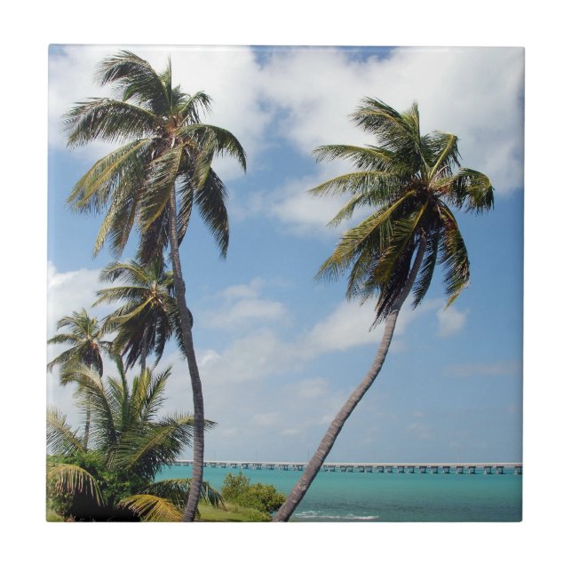 Bahia Honda State Park Ceramic Tile (Front)