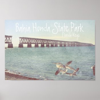 Bahia Honda State Park Poster by camcguire at Zazzle