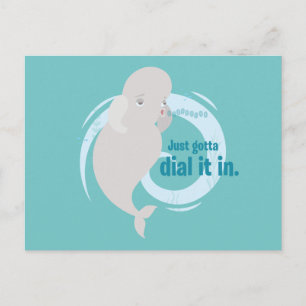 Bailey   Just Gotta Dial it in Postcard