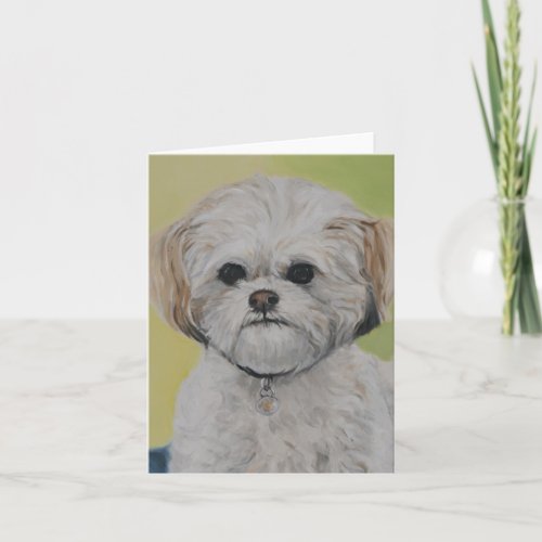 Bailey Mixed Bichon Shihtzu Dog Art Note Card